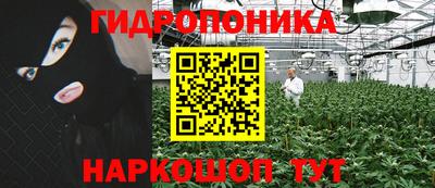 ECSTASY Будённовск