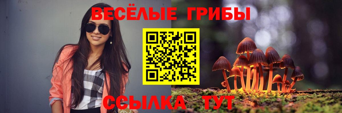 Галлюциногенные грибы мицелий Переславль-Залесский